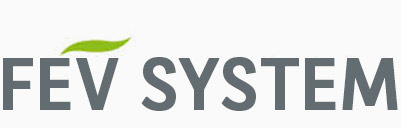 FEV System logo